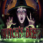 Witch`s Brew